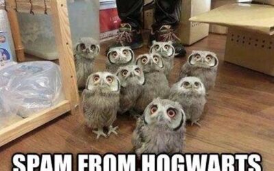 Any Harry Potter fans?