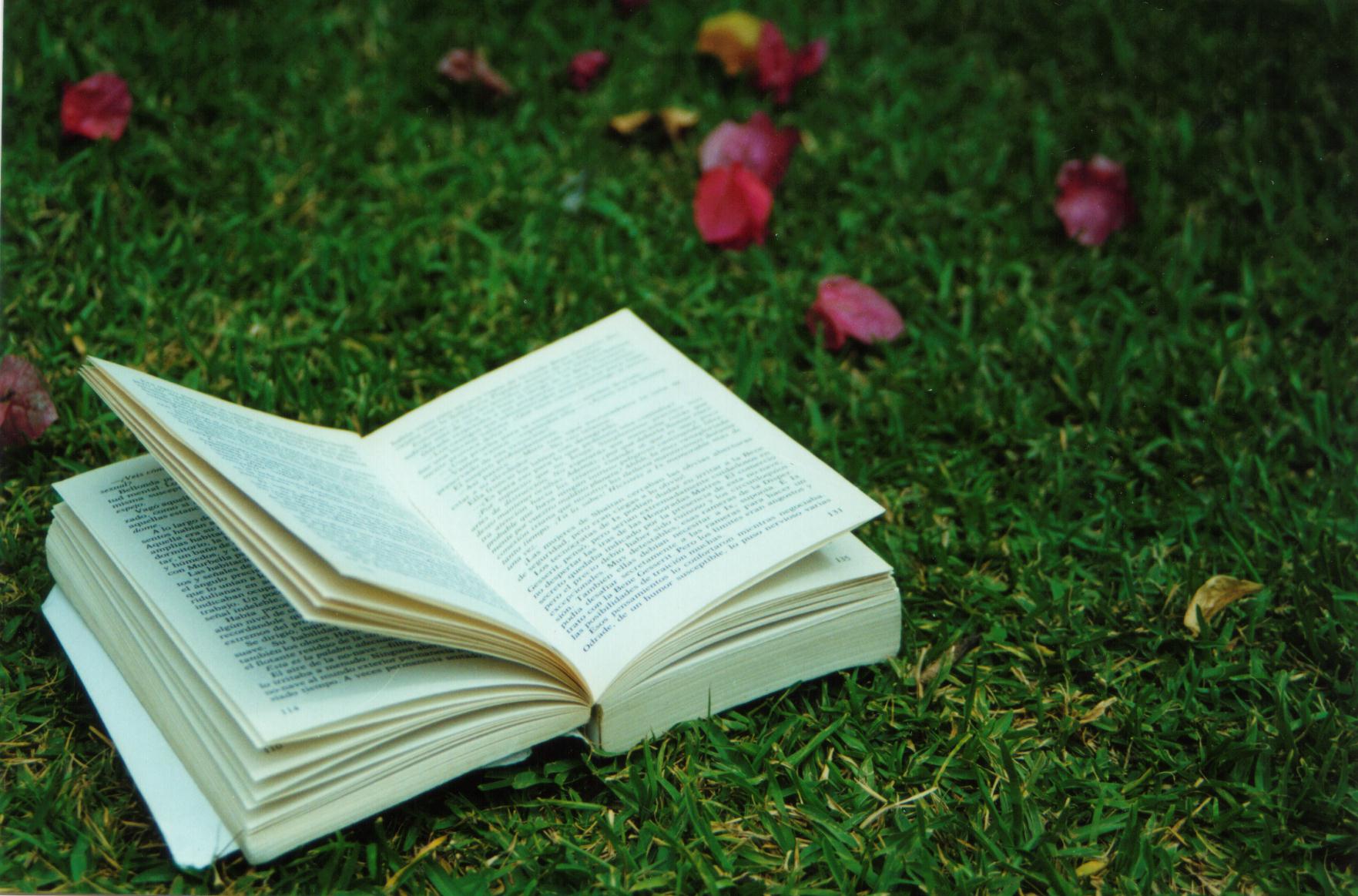 book on grass