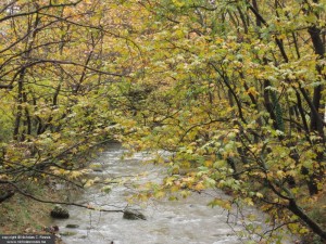 Lousios river, Arcadia, Greece
