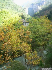 Lousios river, Arcadia, Greece