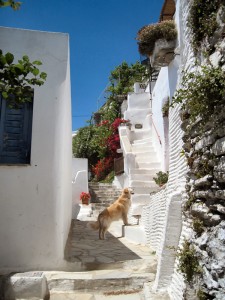 Island of Tinos photo, Greece