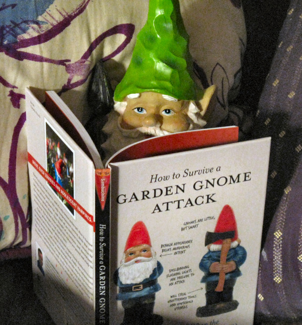 Gnome writing shocking expose.  Photo found on https://dittersdorfgnome.wordpress.com/tag/how-to-survive-a-garden-gnome-attack/