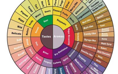 Adjectives To Describe Flavors And Aromas