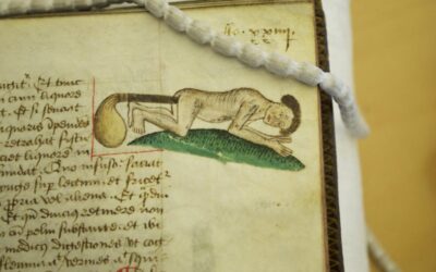 Medieval-Style Doodles, Marginalia, and Manicules
