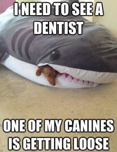 puns | From the blog of Nicholas C. Rossis, author of science fiction, the Pearseus epic fantasy series and children's book
