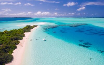 Maldives luxury resort seeks a bookseller