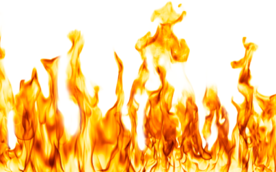 Free Transparent Logos and Images