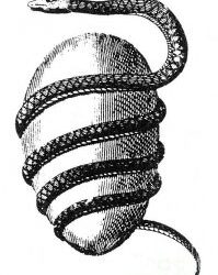 Short Story: The Egg, by Andy Weir