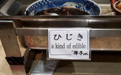 Lost in Translation
