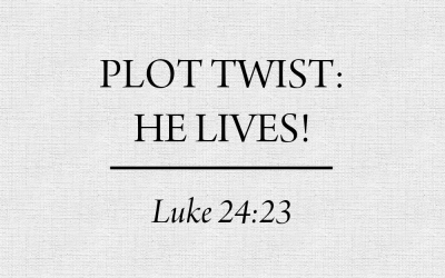 5 Crucial Tips For Writing Plot Twists